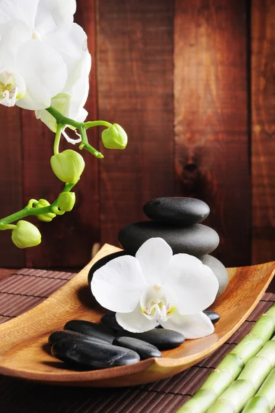 Spa Koncept Zen Stones Orchidej — Stock fotografie