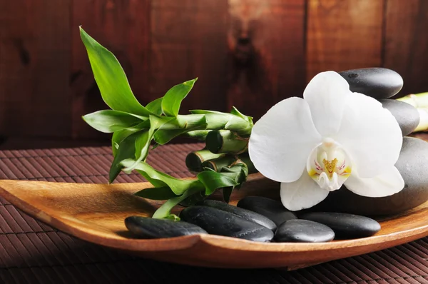 Spa Koncept Zen Stones Orchidej Royalty Free Stock Fotografie