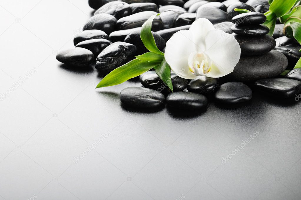 Zen stones and orchid on the black