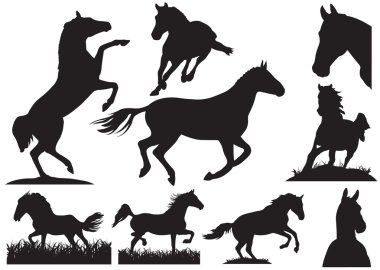 Horse silhouette collection. Vector illustration clipart