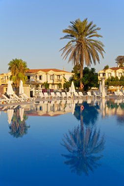 Palm Trees reflecting in the swimming pool clipart