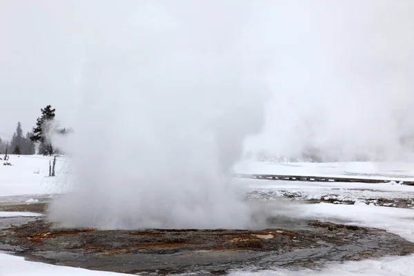 Ausbruch heißer Geysire in Yellowstone np, USA — Stockfoto