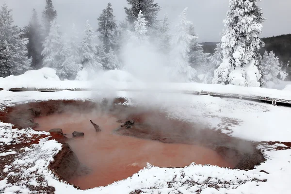 Sezon zimowy w gorące jeziora yellowstone national park, Stany Zjednoczone Ameryki — Zdjęcie stockowe