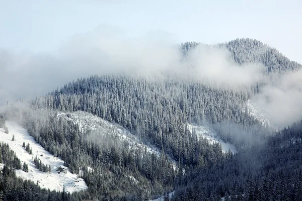산 꼭대기는 눈과 구름, 시애틀, 근처에 의해 u 포함 — 스톡 사진