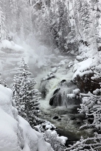 Falls in Yellowstone National Park in winter season, USA — Stock Photo, Image