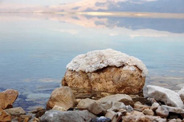 Dode zeezout bij rocks — Stockfoto