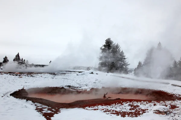 Horké gejzíry Yellowstonského np, usa — Stock fotografie
