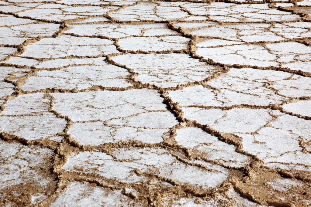 Dry salt field in Dead Sea Israel