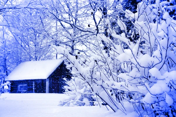 Зимовий сільський пейзаж, будинок під снігом — стокове фото