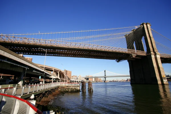 NYC brooklyn brug — Stockfoto