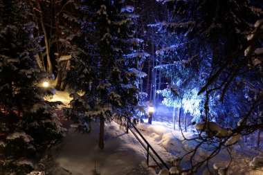 Kış ağaçların altında aydınlatma