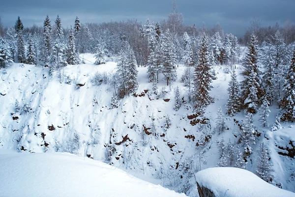 Neve coperta foresta invernale — Foto Stock