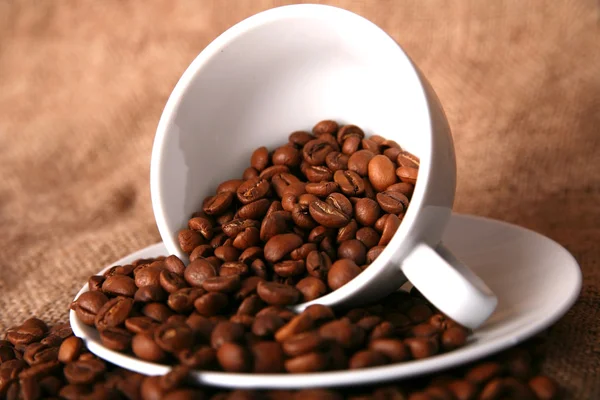 Cup Dish Beans Coffee — Stock Photo, Image