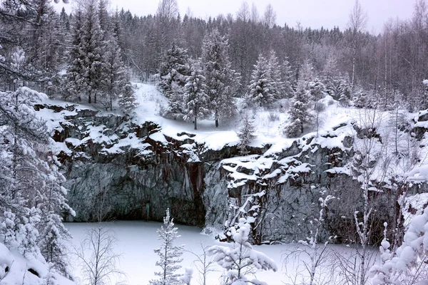 Зимний лес покрыл снегом голубой мрамор — стоковое фото