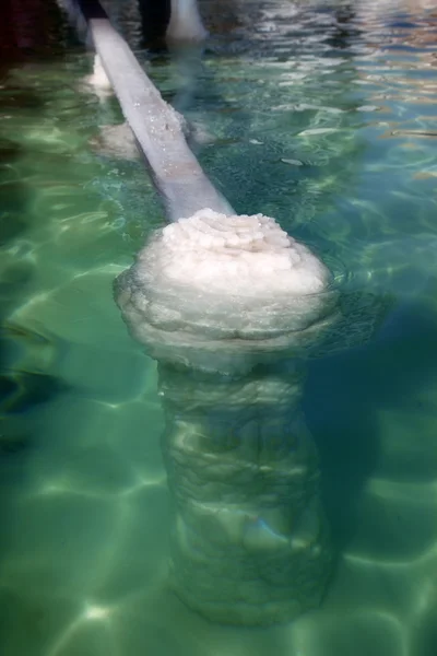 stock image Salt in Dead Sea, Israel