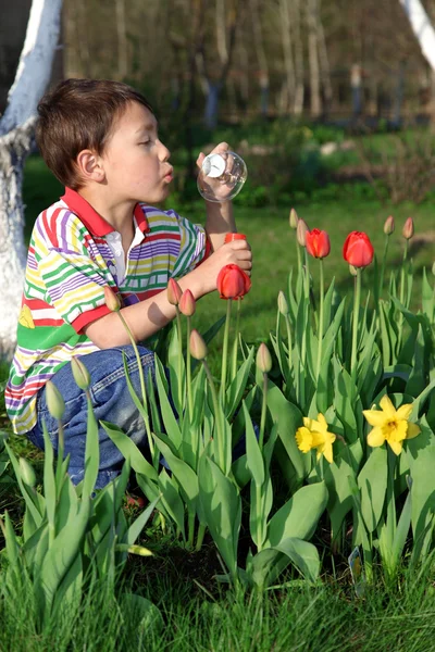 Niño con tulipanes jabón burbuja —  Fotos de Stock