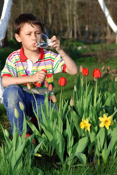 Boy with tulips soap bubble Stock Picture