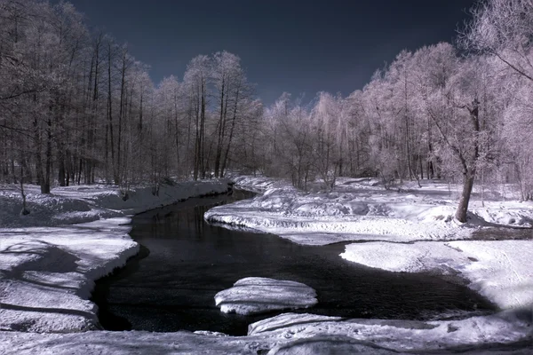 겨울의 나무들 — 스톡 사진