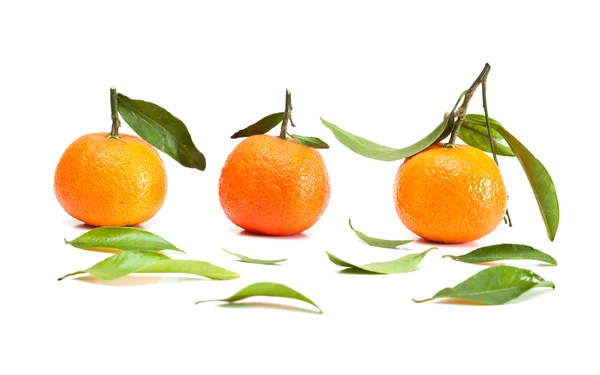 stock image Tangerines