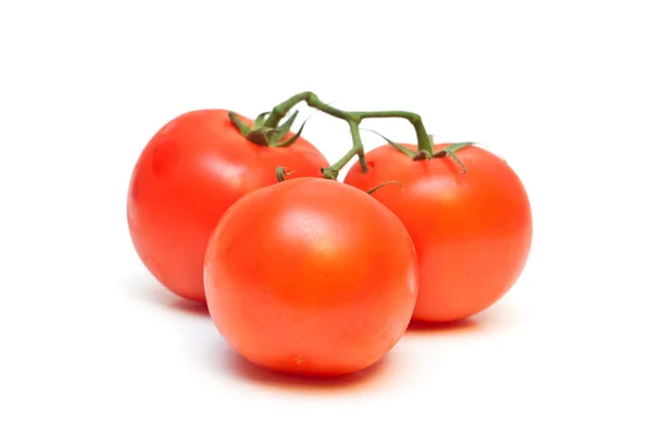 stock image Tomatoes.