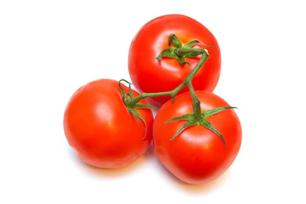 stock image Tomatoes.