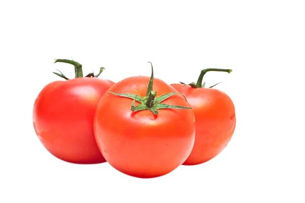 Tomatoes. Stock Picture