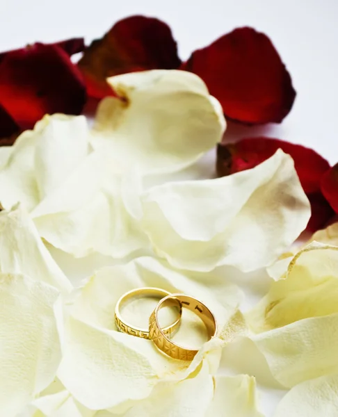 Свадебные кольца — Stockfoto
