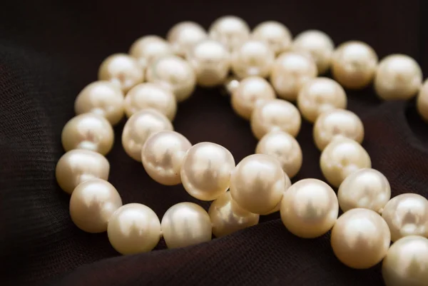 Bílé perly — Stock fotografie
