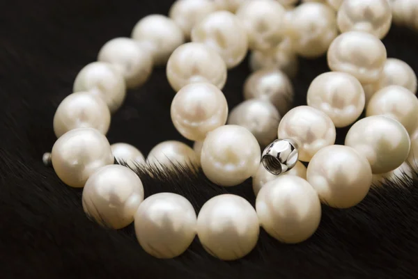 White pearls — Stock Photo, Image