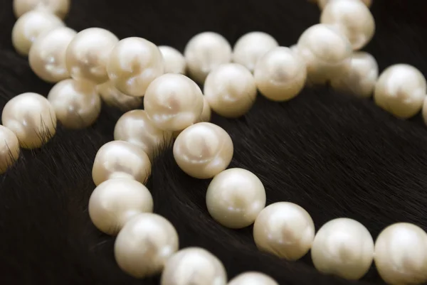 Perle bianche — Foto Stock