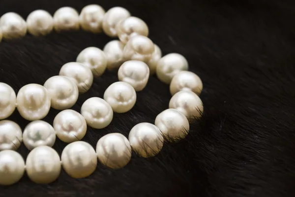 Bílé perly — Stock fotografie