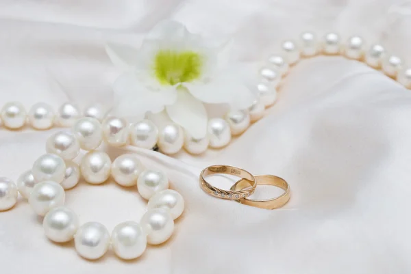 Свадебные кольца — Stock fotografie