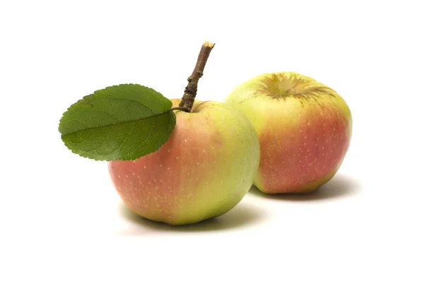 Äpfel. — Stockfoto