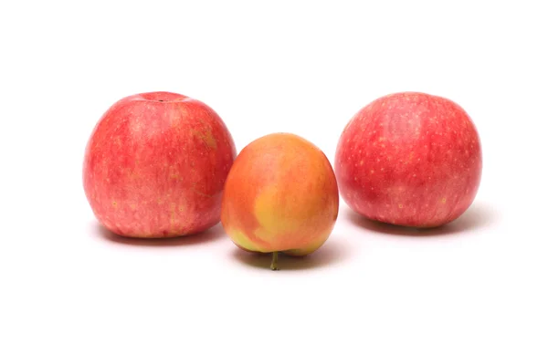 Manzanas. — Foto de Stock