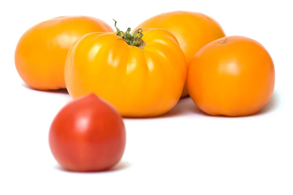 Tomaten. — Stockfoto
