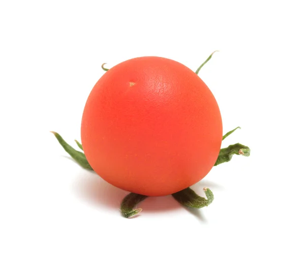 Tomate. — Photo