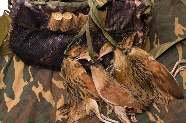 Vadászpuska táska és madár. — Stock Fotó