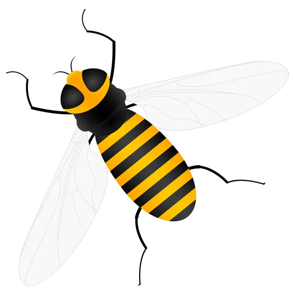 Včela — Stockový vektor