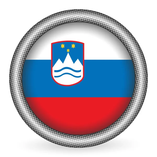 Slovenia flag button — Stock Vector
