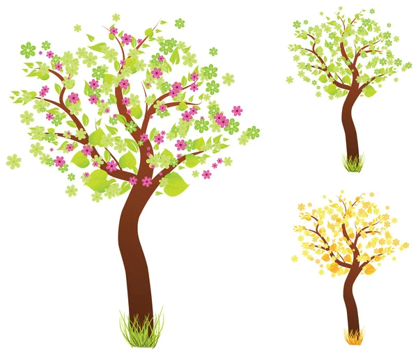 Tre träd i olika tid på året — Stock vektor