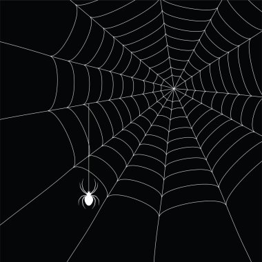 White spider and spider web clipart