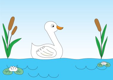 Duck clipart