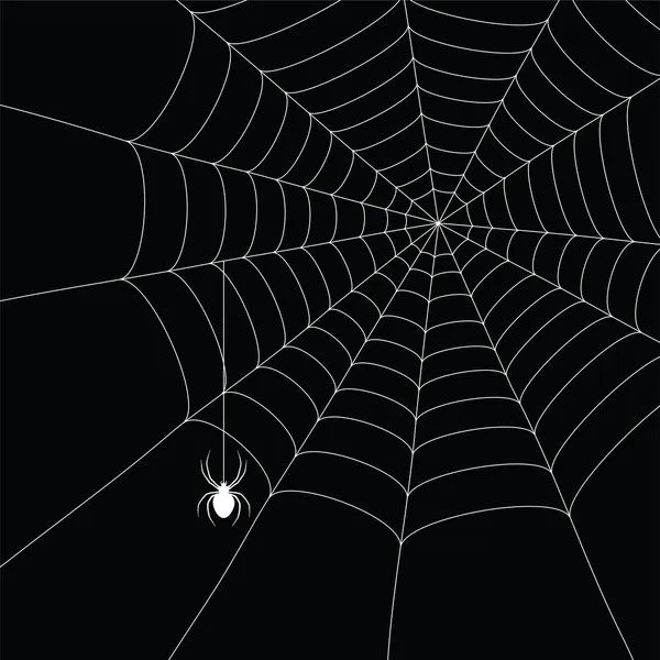 白い蜘蛛と蜘蛛の巣 — ストックベクタ