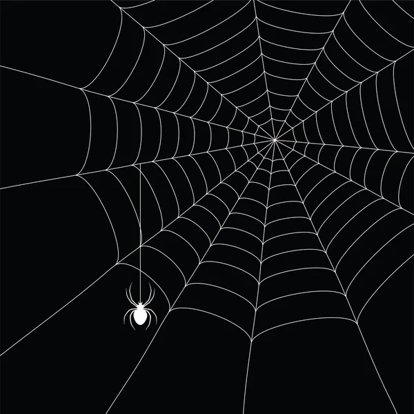 Білий павук і павутина — стоковий вектор