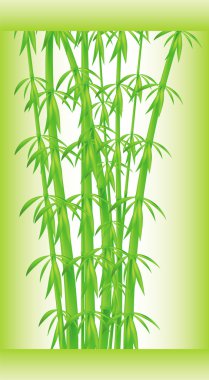 Stalks and bamboo leaves clipart