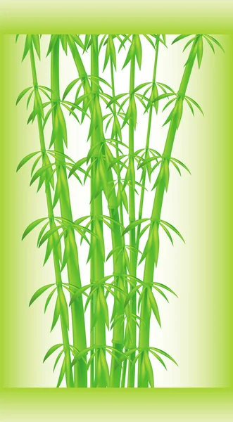 stock vector Stalks and bamboo leaves
