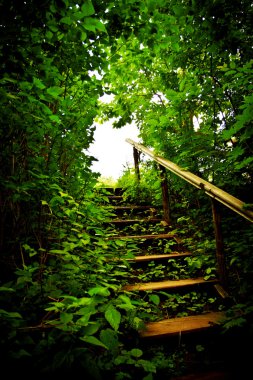 Staircase in a thicket clipart