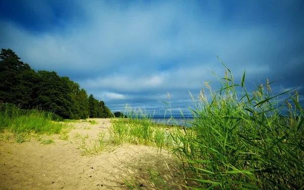 Mavi gökyüzünün altında deniz kıyısı — Stok fotoğraf