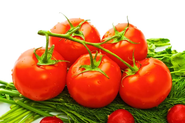 Grönsaker för sallad — Stockfoto