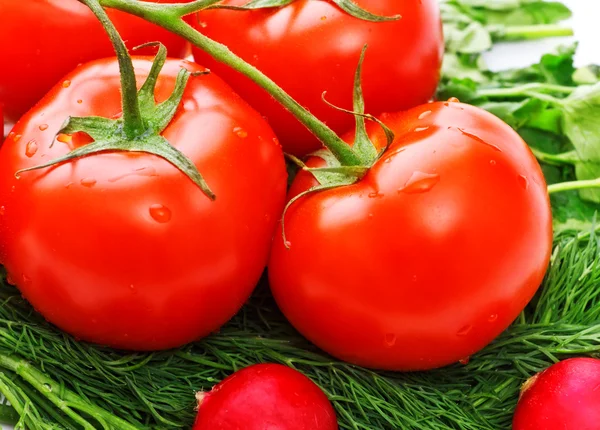 Verse Tomaten Greens Voor Salade Close — Stockfoto